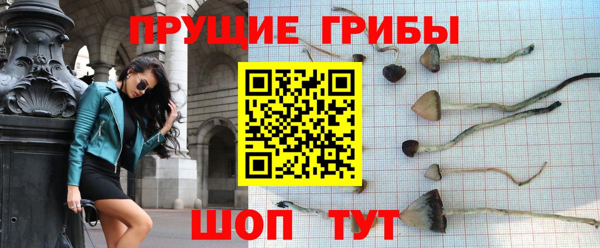 Галлюциногенные грибы мицелий Нефтекамск