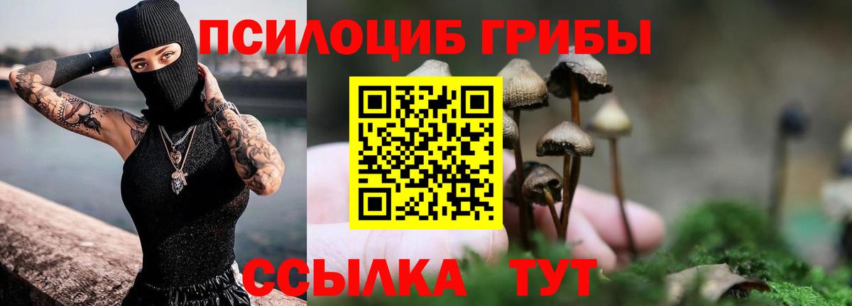 Псилоцибиновые грибы Cubensis  Вход с VPN  Нефтекамск  Галлюциногенные грибы мухоморы 